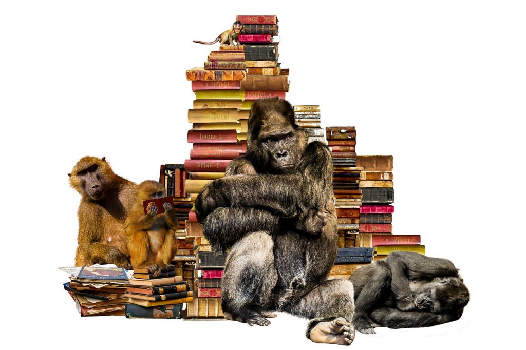 monos y libros
